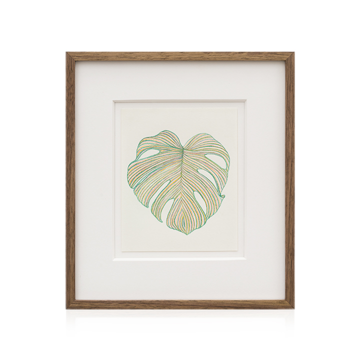 Monstera Drawing Solo 4